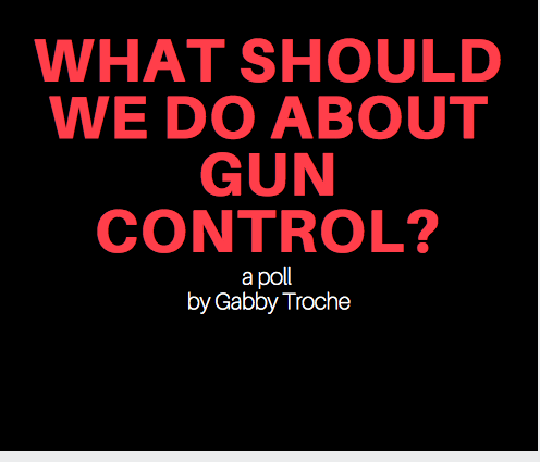 Student say "yes" to stricter gun control