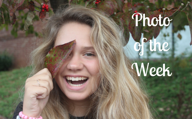 Photo of the week: autumn