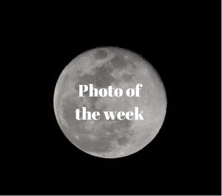 Photo of the week: photographers choice
