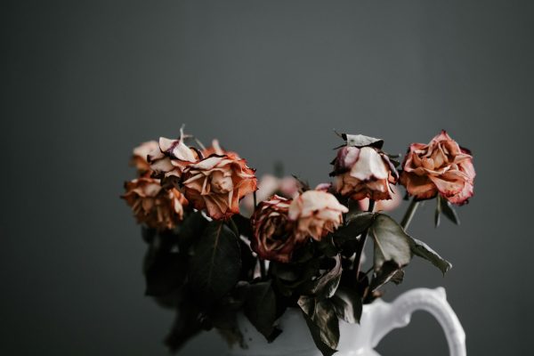 The Impossibilities of Beauty